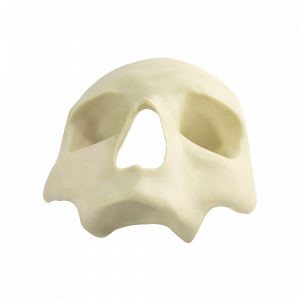 CRÂNIO FRONTAL All-on-4® Standard - cód. 9012