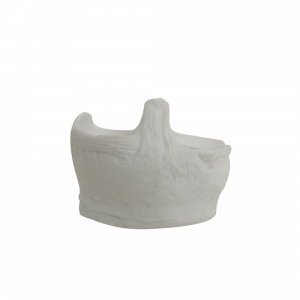 MENISCO MODELO BRANCO (COM CORTES PARA SUTURA) - cód. 6000-01